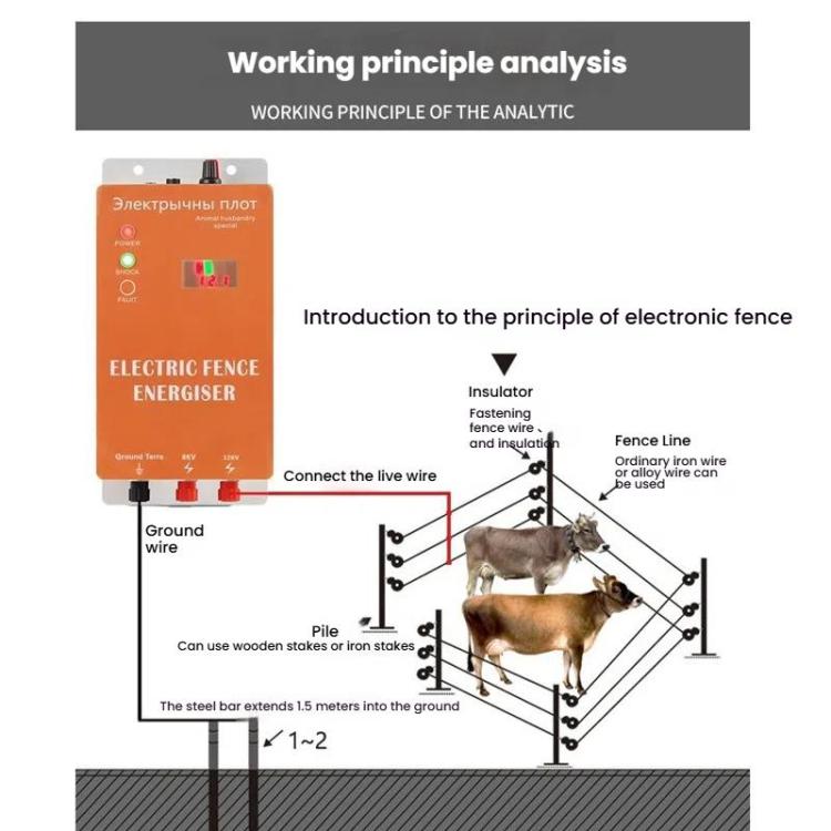 TBD06059063_B3.jpg@c9a669cbdda14977c0e61dda5a56a5ad