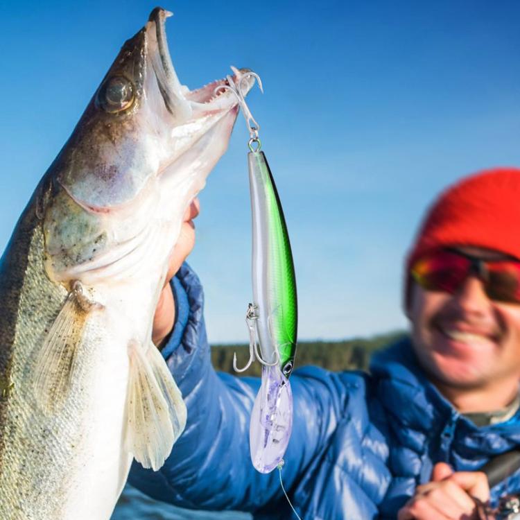 PROBEROS DW627 Long-Distance Casting Large Minnow Lure Fishing Bionic Bait, Style: C(17cm/32g) by PROBEROS