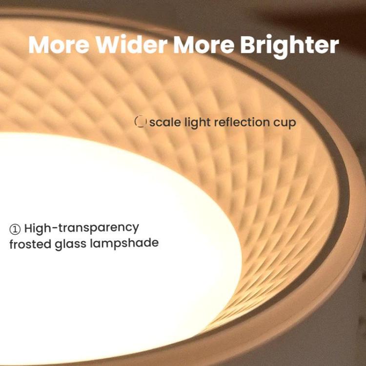 TBD06064223_B7.jpg@a5073b417560f616b0525f8365fcb18f